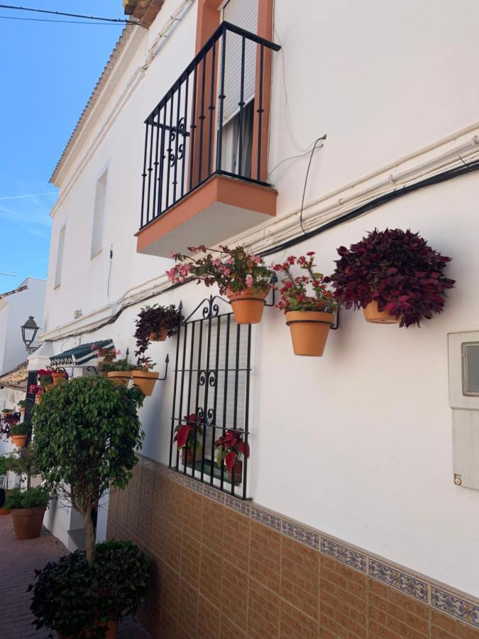 Apartamento 2 Bedroom Beachfront In Estepona, Malaga. *